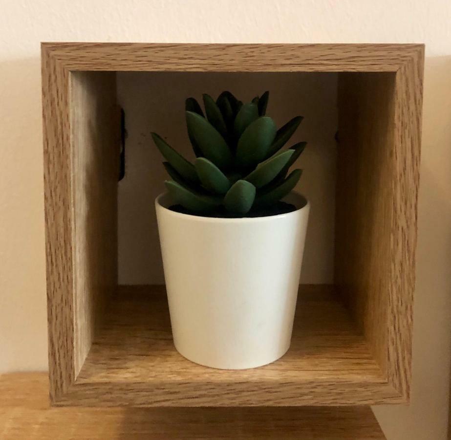 Elenis Athens Apartment 외부 사진